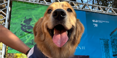 Consciente Construtora e Incorporadora marcou presença no maior evento Pet em área aberta do Brasil 