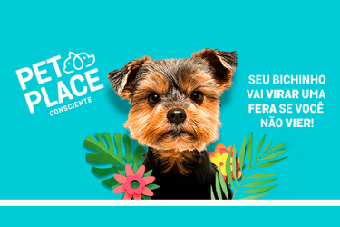 Inauguração - Pet Place Consciente 