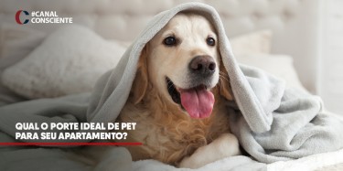 Qual o porte ideal de Pet para seu apartamento?